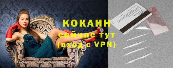 ГАЛЛЮЦИНОГЕННЫЕ ГРИБЫ Баксан